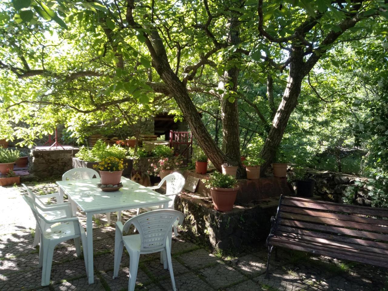 SantʼAlfioCirasellaetna别墅 外观 照片