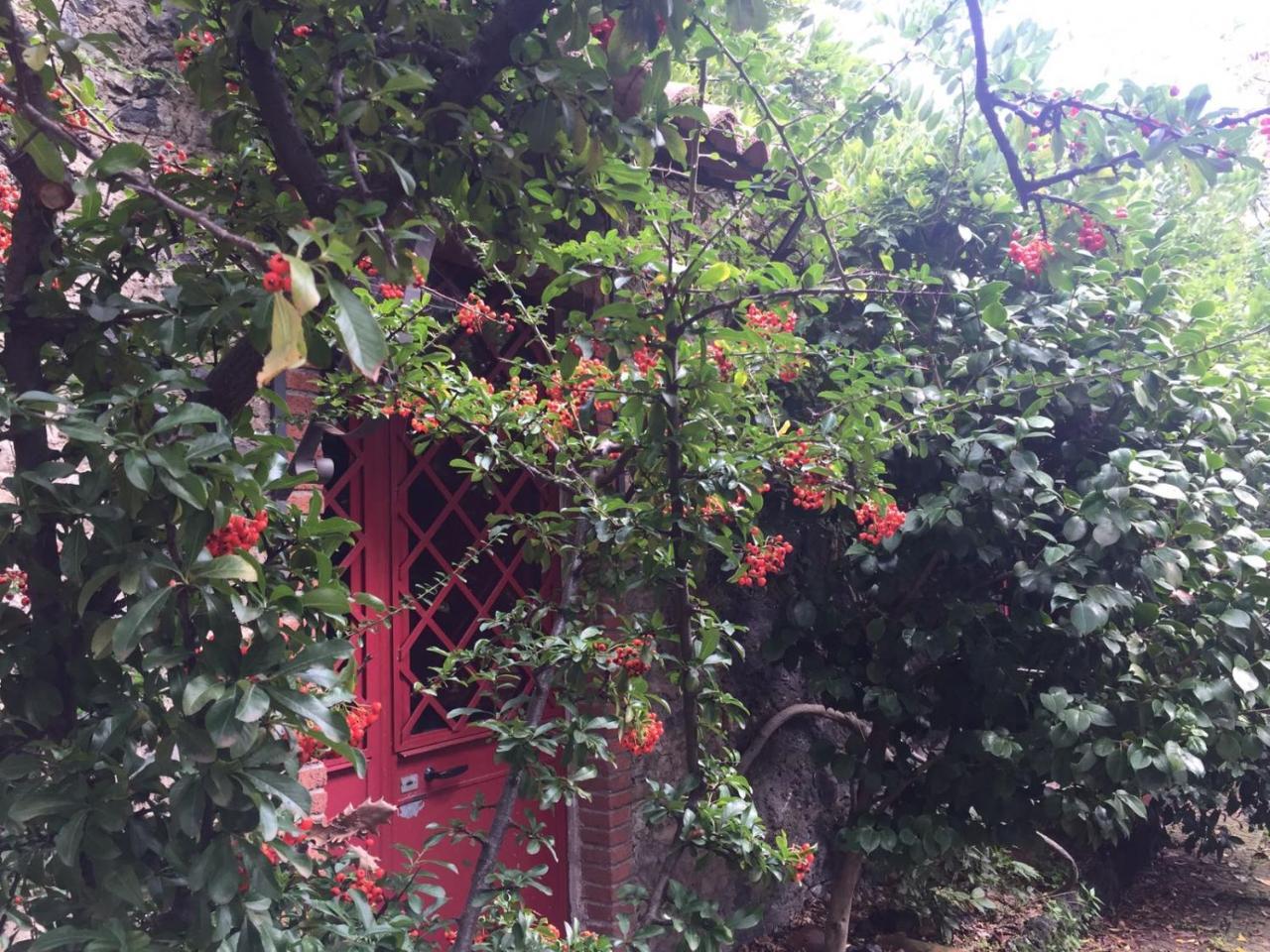 SantʼAlfioCirasellaetna别墅 外观 照片